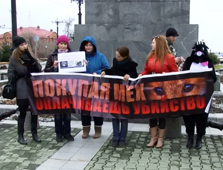 Акция зоозащитников в Хабаровске