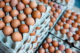 Яйца с повышенным содержанием селена и йода планируют выпускать в Комсомольске-на-Амуре