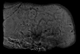 Необычные петроглифы обнаружили в окрестностях села Елабуга Хабаровского района