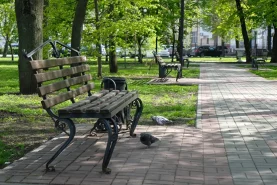 Хабаровчане выберут концепцию нового сквера на улице Калараша