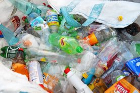 Предновогодняя экологическая акция «Раздельный сбор» пройдет завтра в Хабаровске