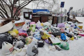 Проблему с вывозом мусора на ДОСах решил регоператор с управляющей компанией в Хабаровске