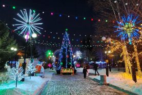 Посетить новогодние городки приглашают хабаровчан
