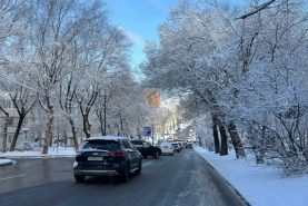 С последствиями циклона в Хабаровском крае борются в круглосуточном режиме