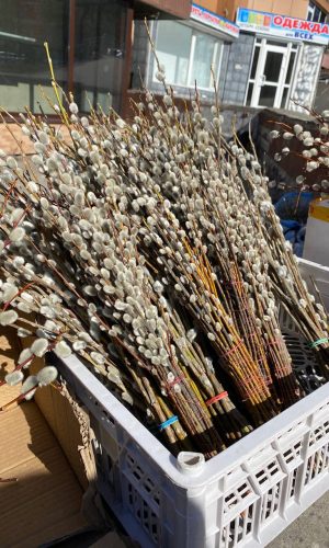 photo_6_2023-04-05_16-56-39